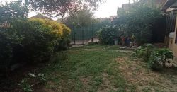 Casa Pte. Alto